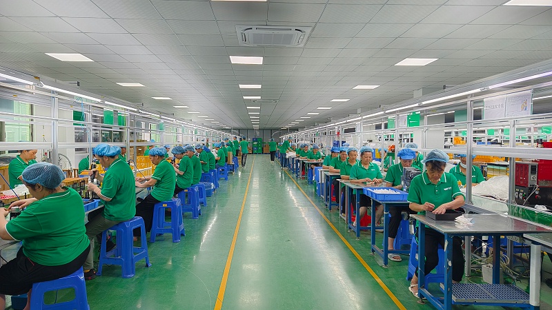 ΢ňDƬ_20241119114426