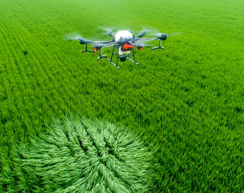 ΢Ž؈D_20250214151450