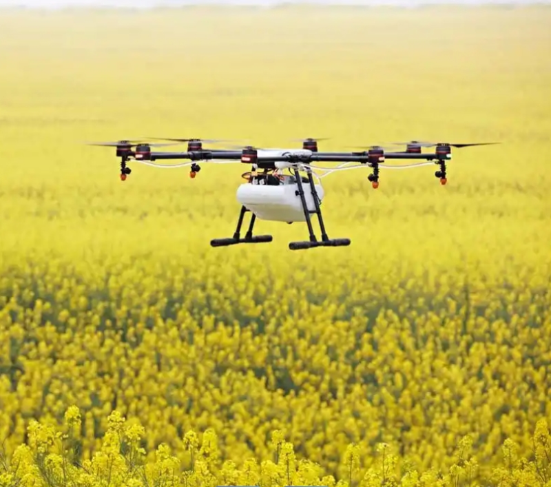 ΢Ž؈D_20250214152112