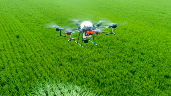 2025Ї(gu)r(nng)ֲo(w)˙C(j)SҸ(jng)(zhng)cЈ(chng)څ(sh)Ƚ